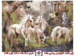 نخ و نقشه قصر رویاها