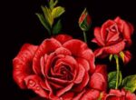 قیمت نخ و نقشه شاخه های رز یک