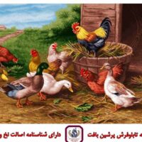 قیمت نخ و نقشه تابلو فرش دهکده