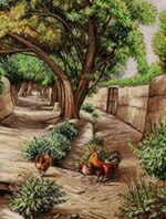 قیمت نخ و نقشه باغ میرزا