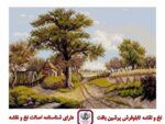 قیمت نخ و نقشه کلبه کنار مزرعه