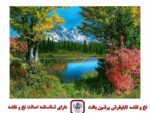 قیمت نخ و نقشه دریاچه آرام