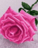 قیمت نخ و نقشه گلهای زیبا (دو)