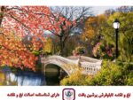 قیمت نخ و نقشه سنترال پارک نیویورک