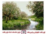 قیمت نخ و نقشه جلوه بهار -تشعیر