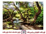 قیمت نخ و نقشه تابلو فرش جویبار
