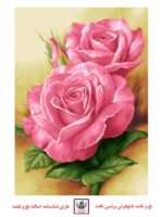 قیمت نخ و نقشه شکفتن گلها
