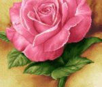 قیمت نخ و نقشه شکفتن گلها