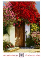 قیمت نخ و نقشه خانه همسایه