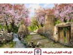 قیمت نخ و نقشه بهار در روستا