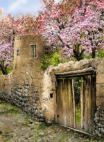قیمت نخ و نقشه بهار در روستا