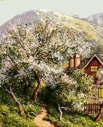 قیمت نخ و نقشه باغ بهشت (تشعیر)