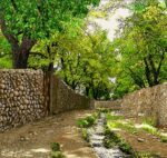 قیمت نخ و نقشه کوچه باغ تابستانی دو 