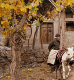 قیمت نخ و نقشه روستای ابیانه سایز سه 