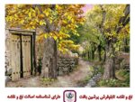 قیمت نخ و نقشه ده بالا