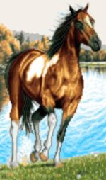 قیمت نخ و نقشه اسب و برکه