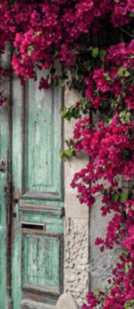قیمت نخ و نقشه خانه دوست سایز یک