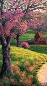 قیمت نخ و نقشه به سوی بهار 2