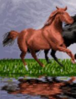 قیمت نخ و نقشه رها در دشت