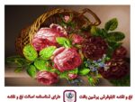 قیمت نخ و نقشه رز صورتی 