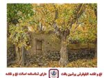 قیمت نخ و نقشه باغ سنگی سایز یک (تشعیر)