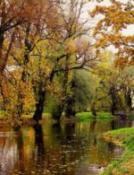 قیمت نخ و نقشه پاییزان