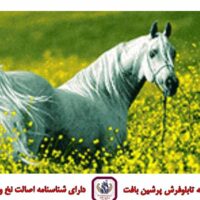 قیمت نخ و نقشه زیبای وحشی سایز یک (دارچوبک)