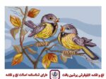 قیمت نخ و نقشه دو قناری