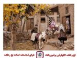 قیمت نخ و نقشه روستای ابیانه سایز دو