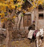 قیمت نخ و نقشه روستای ابیانه سایز دو