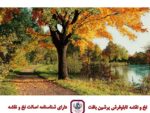 قیمت نخ و نقشه پارک طبیعی