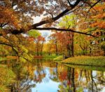 نخ و نقشه جلوه زیبای پاییز 2 - Image 3
