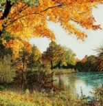 قیمت نخ و نقشه پارک طبیعی