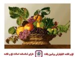 قیمت نخ و نقشه سبد میوه