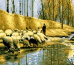 قیمت نخ و نقشه شبان و گله سایز یک (دارچوبک)