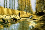 قیمت نخ و نقشه شبان و گله سایز یک (دارچوبک)