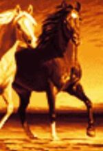 قیمت نخ و نقشه شکوه اسبها سایز دارچوبک
