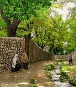 قیمت نخ و نقشه کوچه باغ تابستانی یک