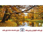 قیمت نخ و نقشه تابلو فرش آرامش پاییز