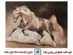قیمت نخ و نقشه تابلوفرش کمند 2 قیمت نخ و نقشه تابلوفرش کمند 2 