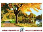 قیمت نخ و نقشه تابلو فرش منظره تک درخت