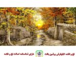 قیمت نخ و نقشه تابلو فرش منظره غروب دل انگیز