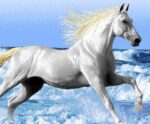 قیمت نخ و نقشه تابلو فرش اسب کنار دریا