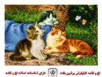قیمت نخ و نقشه تابلو فرش گربه های خانگی