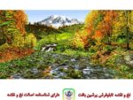 قیمت نخ و نقشه تابلو فرش منظره آب راه کوهستان