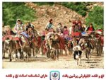 قیمت نخ و نقشه تابلو فرش کوچ عشایر