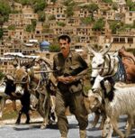 قیمت نخ و نقشه تابلو فرش بازگشت از چراگاه