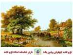 قیمت نخ و نقشه تابلو فرش منظره مزرعه