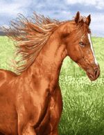 قیمت نخ و نقشه تابلو فرش اسب