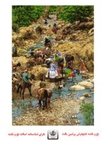 قیمت نخ و نقشه تابلو فرش کوچ عشایر